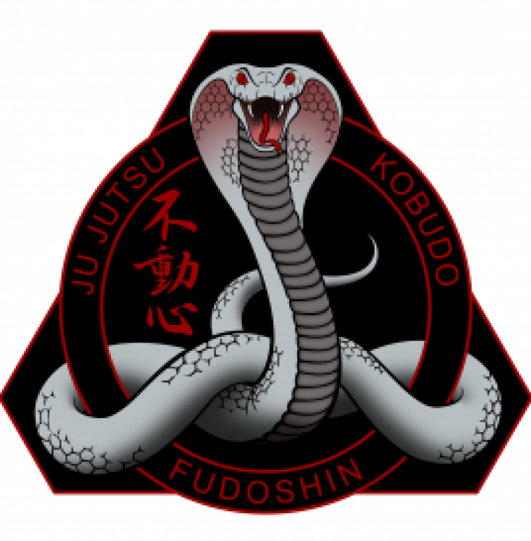 Jujutsu Kobudo Verein Fudoshin
