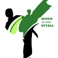 SENEM Styria